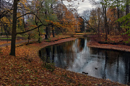 Spätherbst ... / ***