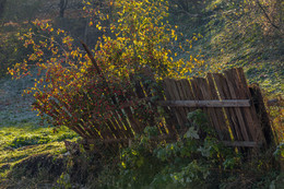 Herbst / ***