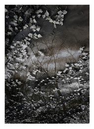 Autumn Geschichte / ***