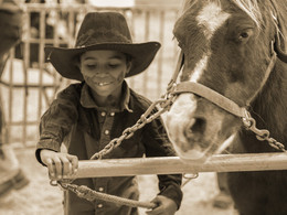 Kleiner Cowboy / ***