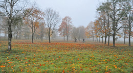 Herbst / ***