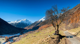 Herbstmorgen im Engadin / ---