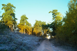 Herbst Gegensatz / ***