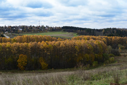 Herbst / ***
