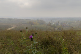 Dull Day / ***