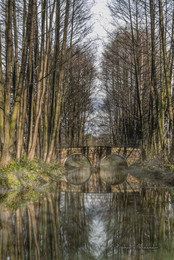 Brücke / ***