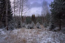 Der erste Schnee / ***