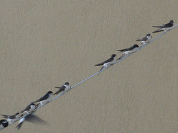 Erholung / ***