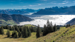 Nebelmeer / ---
