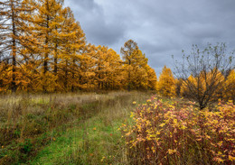 Über Herbst ... / ***