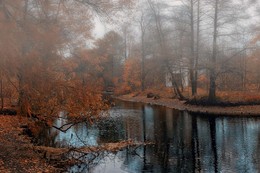 Herbst / ***