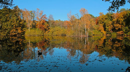 Herbst Rhapsody / ***