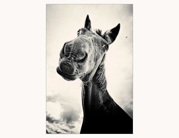 besonderen Look / ***
