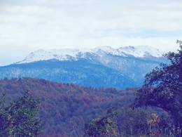 Mountains / ***