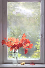 November / ***