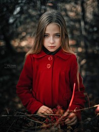  / ***