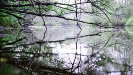 Der Beginn des Herbstes / ***