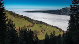 Rigiblick / ---