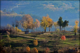 Herbst / ***