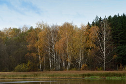 Herbst / ***