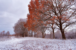 / http://max-helloween.livejournal.com/142704.html