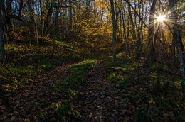 Der Sonne entgegen / ***