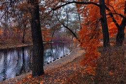 Herbst / ***
