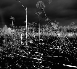  / f\ 5.6 1\60 iso 200
23.10.2011