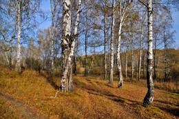 Herbst- Skizze. / ***