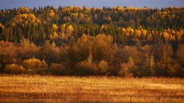 Herbstfarben / ***