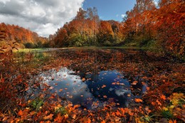 Goldener Herbst / ***