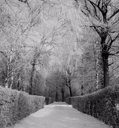 Wintermärchen / ***