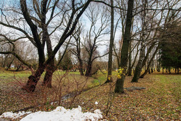 Der Park ... / ....