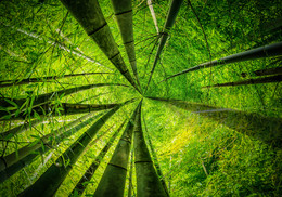 To The Sky / sony nex7 Japan