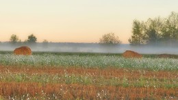 Herbstnebel / ***