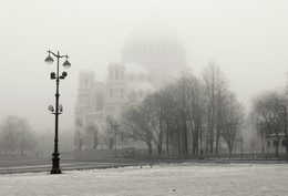 Nebel / ***