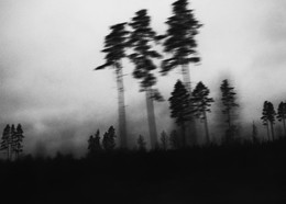 Winter Dreams / ***