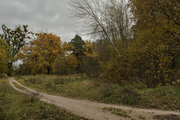 Herbst / ***