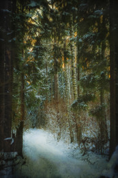 Wald / ***