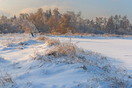 Winter / ***