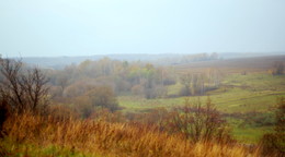 Misty Herbst / ***