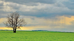 Einsamkeit / ***