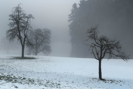 Nebelruhe / ---