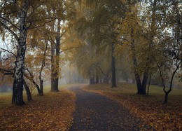 Herbst im Park. / ***