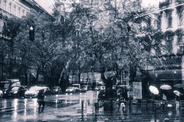 Rainy Mood / ***