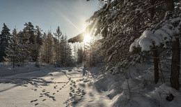 Spuren im Schnee / ***