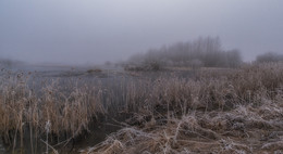 Gloomy Morgen ... / ***