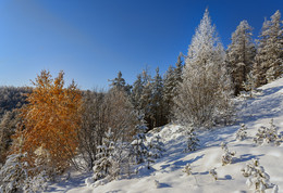 Herbst und Winter / ***
