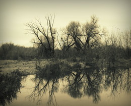 Herbst-Traum / ***