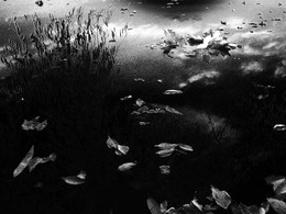 Herbst-Traum / ***
